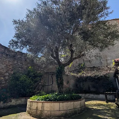 منزل ريفي Casaplana, Grupos Grandes, 1500m2 De Casa, Piscina Privada Y Patio, Barbacoa, Zona Prepirineo Calasanz